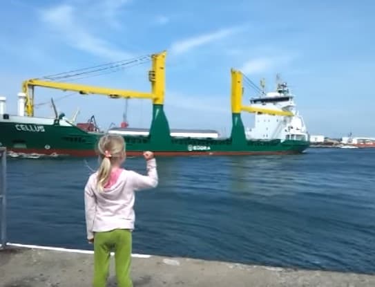 Video: Hayotdan nimani talab qilsang, oqibatiga tayyor tur