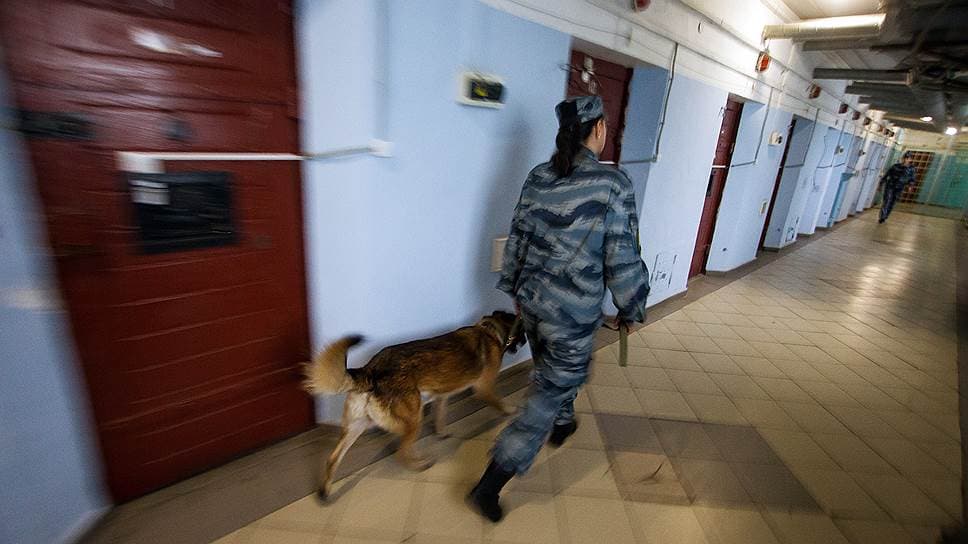 OAV: Rossiya mudofaa vazirligidagi rekord pora ishida yana bir kishi paydo bo‘ldi