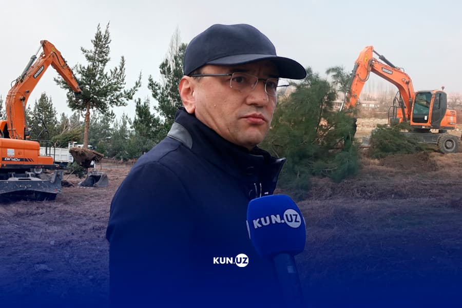 Shaxsan hokim bosh-qosh: Quvasoyda 300 ga yaqin daraxt qo‘porib tashlandi