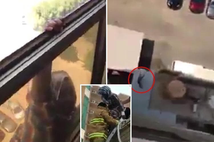 Kuvaytlik ayol uy xizmatchisiga mushkul vaziyatda yordam berish o‘rniga uni tasvirga oldi