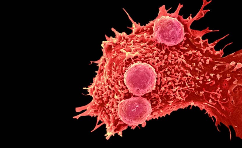 Xitoyda inson genlari birinchi marta CRISPR ko‘magida o‘zgartirildi