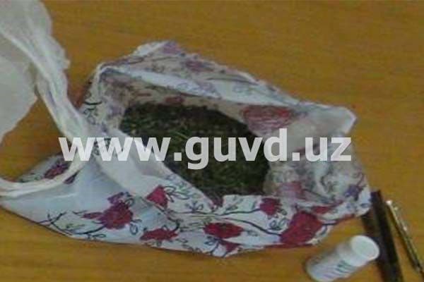 Yunusobodda uyida nasha ekib, yetishtirayotgan shaxs ushlandi