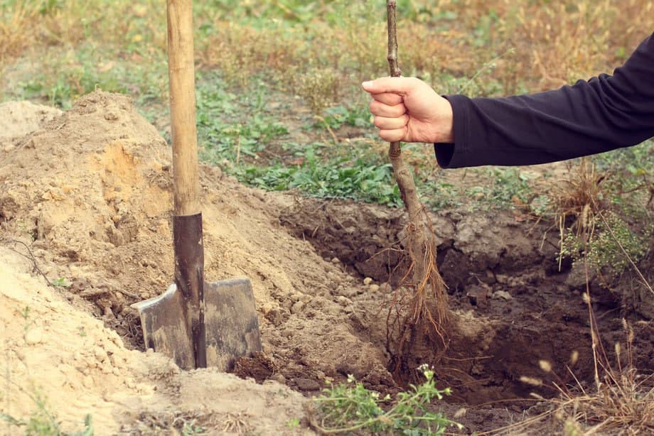 Toshkentda mansabdor shaxslarning ekologiya xodimlariga bosim o‘tkazgani yuzasidan tekshiruv boshlandi