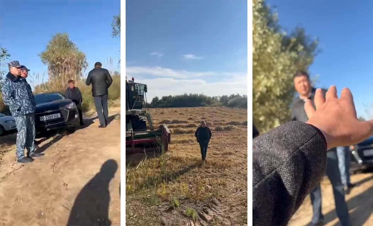 Xorazmda yana reyderlik. Sholikorlar hosilini tortib olish ommaviy tus olganmi?