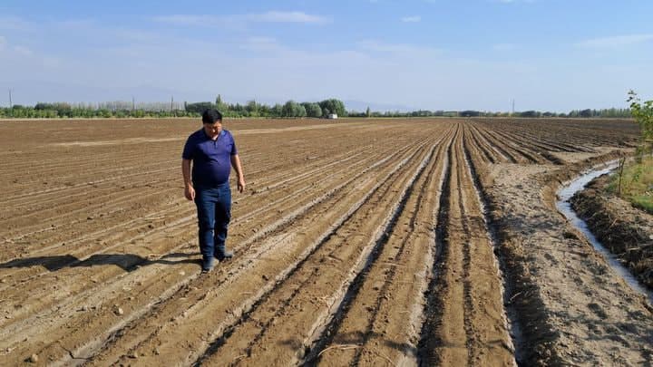 O‘zbekiston sertifikatlangan organik ekinlar maydonini 100 ming gektarga kengaytirmoqchi