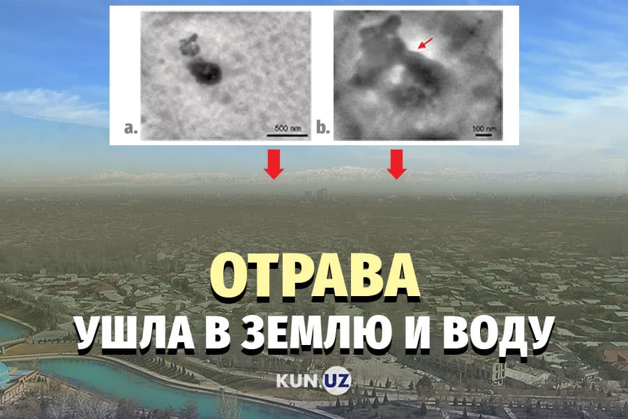 Дожди очистили воздух – теперь отравляются почва и вода?