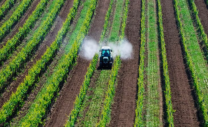 Agrosanoat sohasida yangi bozor mexanizmlari joriy etiladi