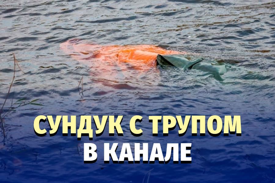 В канале выловили загадочный сундук – подробности жуткого убийства в Папе
