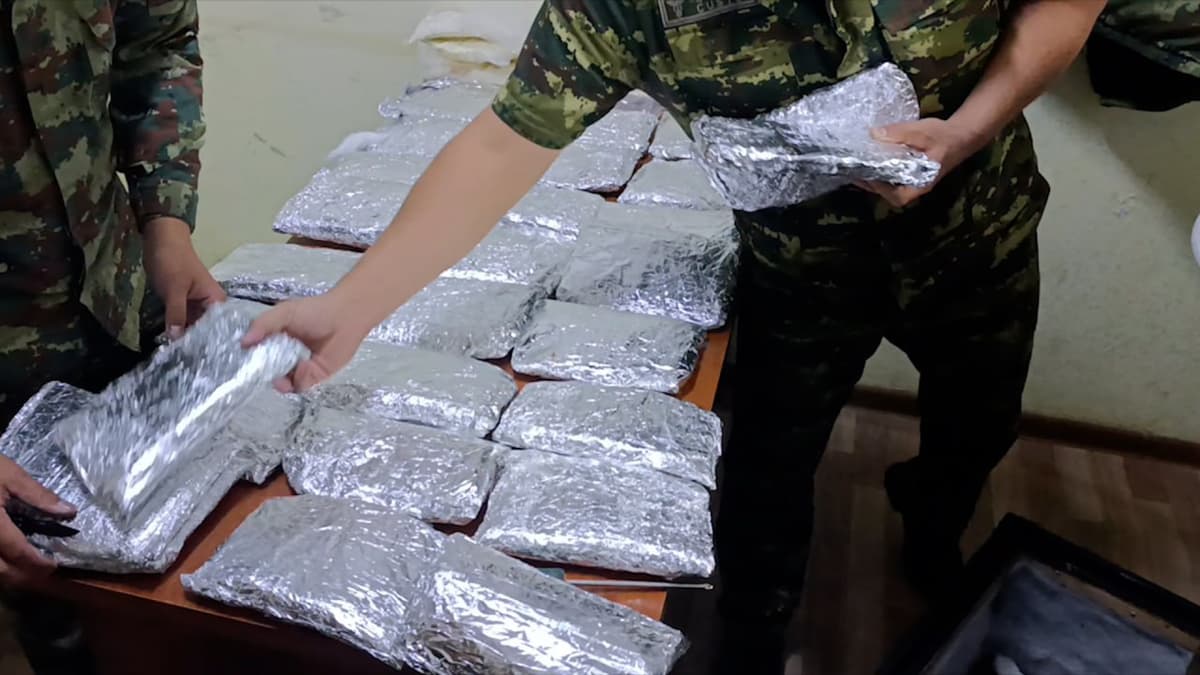 Музыкальные колонки с 18 кг наркотиков пытались ввезти в Каракалпакстан из РФ