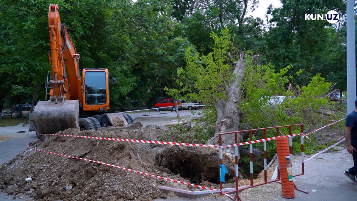 1 yoshli qizaloq vafotidan keyin: Veolia Energy ish jarayoniga o‘zgartirish kiritishini ma’lum qildi