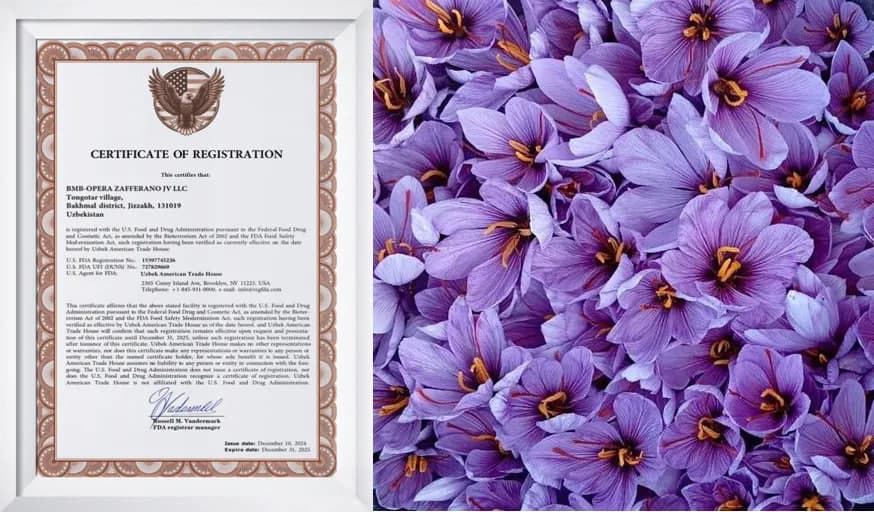 AQSh O‘zbekiston za’faroni eksporti uchun berilgan ruxsatnoma muddatini uzaytirdi