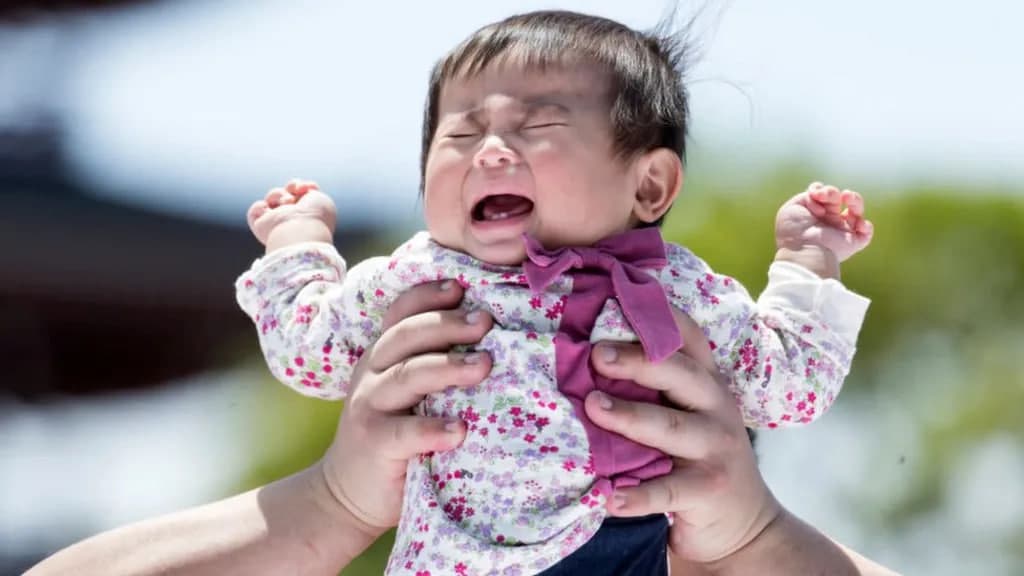 Yaponiyada tagliklar ishlab chiqaruvchi kompaniya kattalar uchun mahsulot chiqarishga o‘tadi