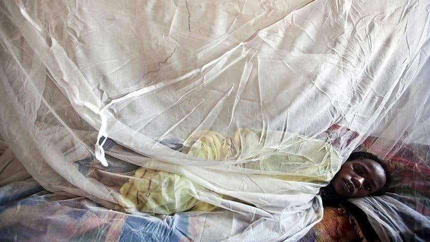 Nigeriyada Lassa bezgagi qurbonlari soni 163 kishiga yetdi