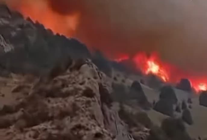 Surxondaryodagi qo‘riqxonada ro‘y bergan yirik yong‘in 8 soatda o‘chirildi
