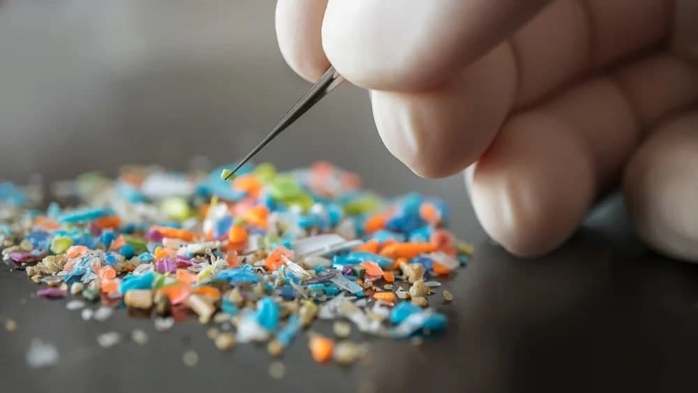 So‘nggi 8 yil ichida inson miyasidagi mikroplastik zarrachalar 50 foizga oshdi - tadqiqot