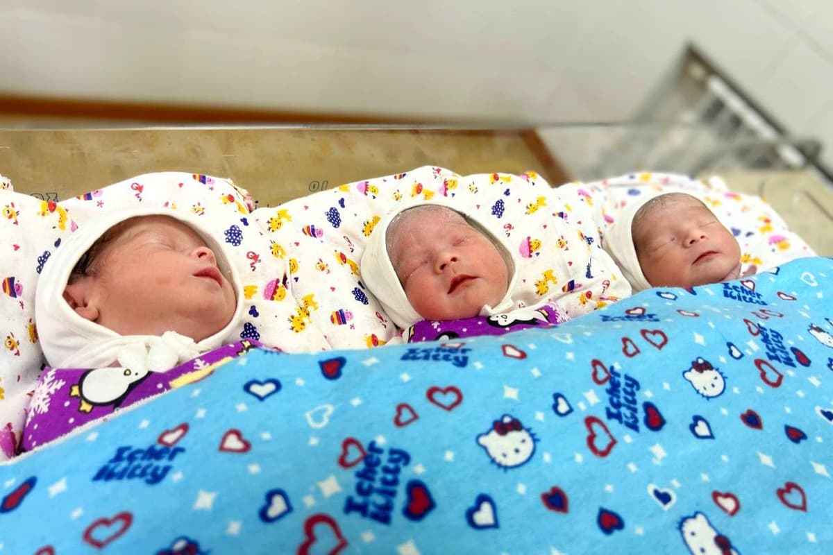 Yanvar–sentabr: har 44 ta tug‘ilishdan biri egizak