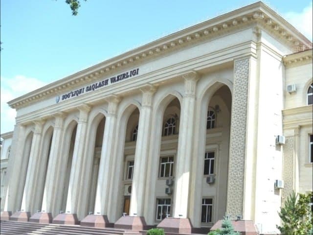 Sog‘liqni saqlash vazirligi soxta tabiblardan ogohlantirdi