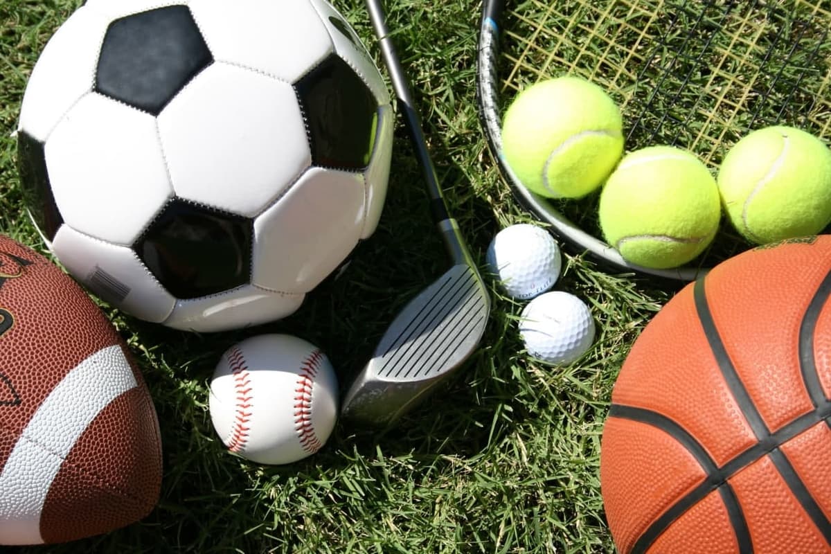 Sport sohasida oliy ma’lumotli xodimlar ulushi 85 foizga chiqariladi