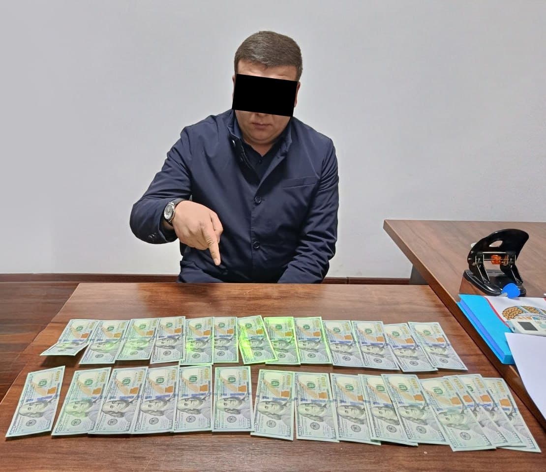 Ishchi viza va’dasi bilan minglab dollar talab qilganlar ushlandi