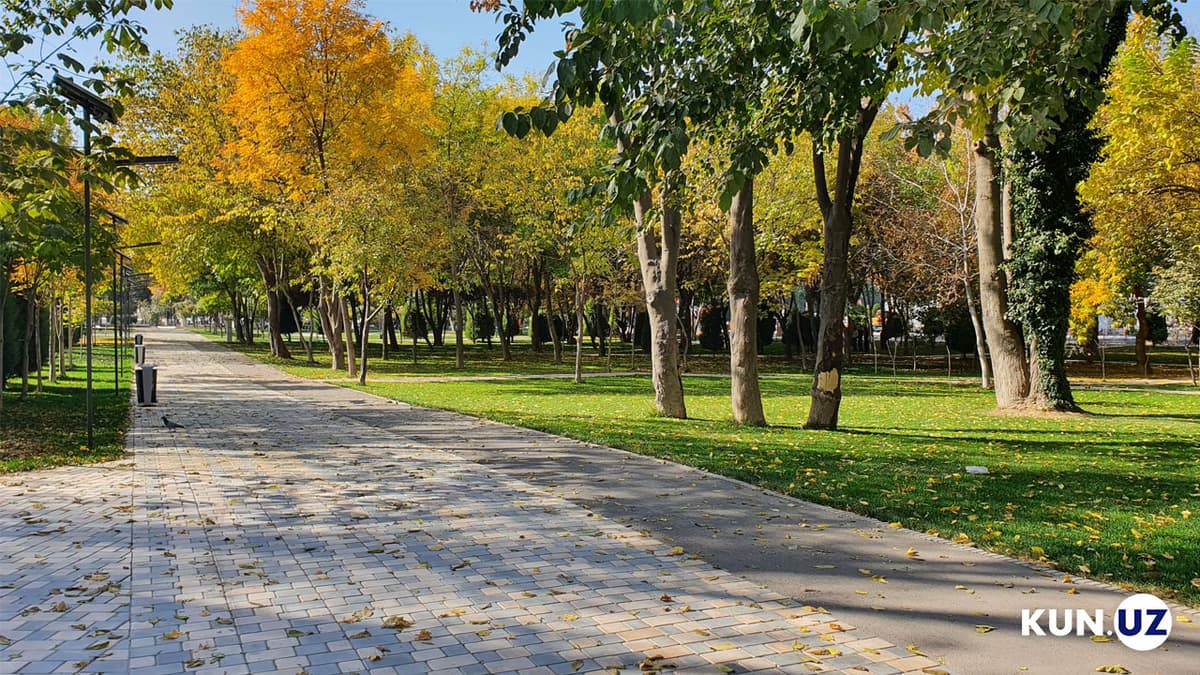 «Soyali sayr ko‘chalari» tarmog‘i yaratiladi
