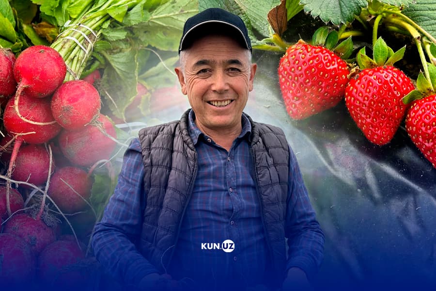 “Kam bo‘lganimiz yo‘q”: qishda ham qulupnay va rediska yetishtirib sotayotgan quvalik dehqon