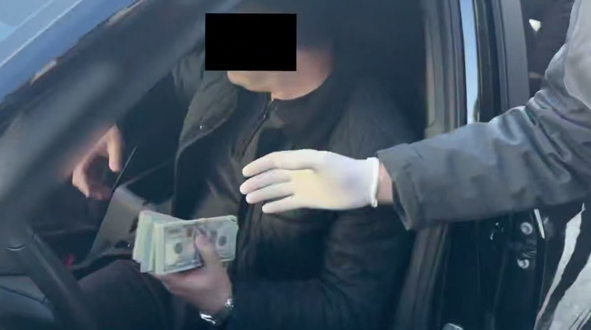 Pop ixtisoslashtirilgan davlat o‘rmon xo‘jaligida tekshiruv: milliardlab zarar aniqlandi