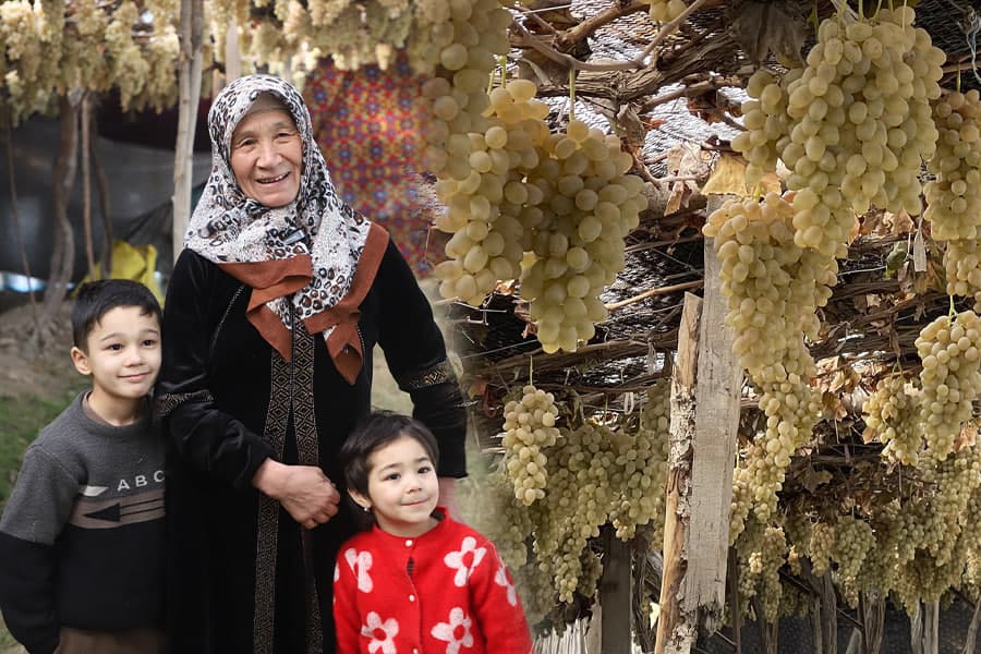 “Ko‘rib ko‘zingiz quvnaydi” – qishda ham ishkomda saqlanayotgan uzumlar