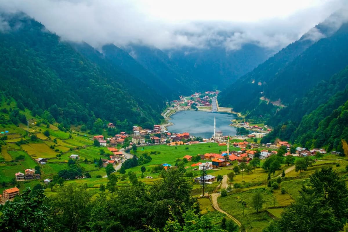 Trabzon va Toshkent o‘rtasida doimiy aviareyslar yo‘lga qo‘yilishi mumkin 