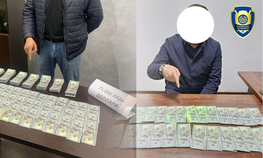75 ming dollar evaziga AQSh vizasini va’da qilgan shaxs ushlandi