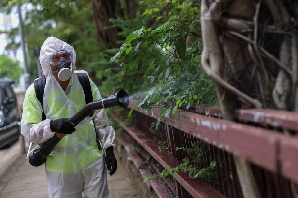Xitoy janubida bir hafta ichida chikungunya bezgagi bilan bog‘liq 1,3 mingdan ortiq holat qayd etildi