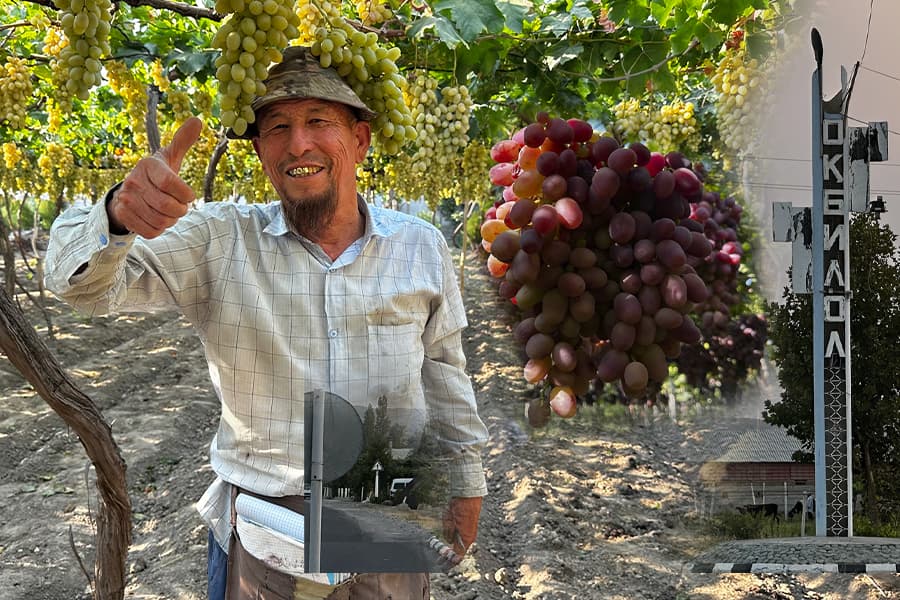 Uzumchilar qishlog‘i – Oqbiloldan reportaj