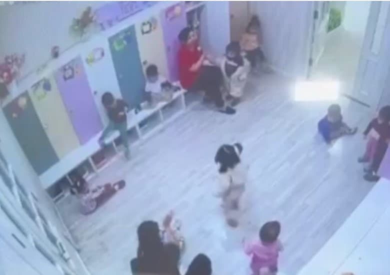 Bog‘chalardagi holatlar yuzasidan maktabgacha va maktab ta’limi vaziriga senator so‘rovi yuborildi