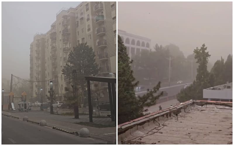 Шифокор чангли ҳавода амал қилиш керак бўлган тавсияларни берди
