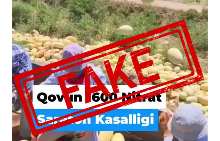 Surxondaryoda qovun yegan fuqarolar zaharlangani rad etildi