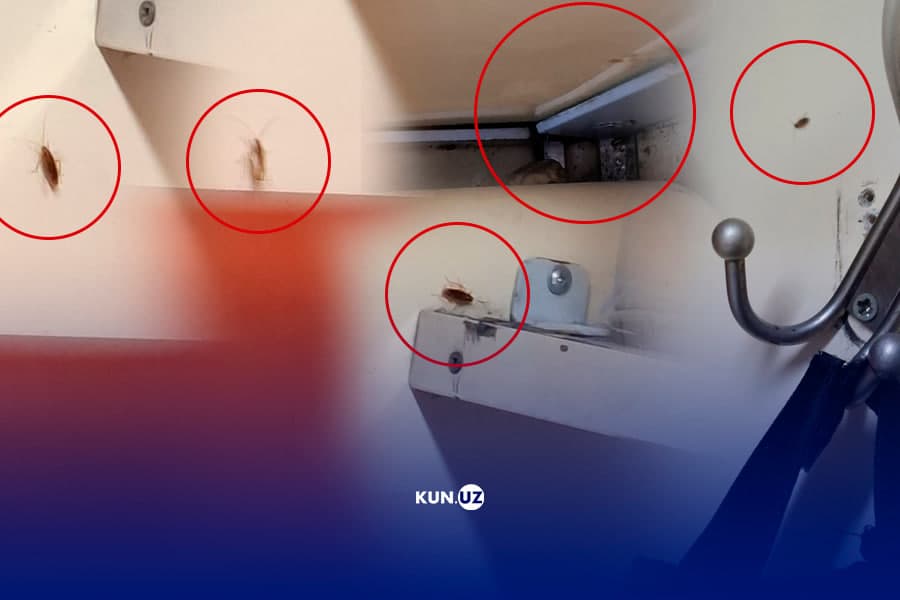 “Biz hayvon emasmiz-ku” – “O‘ztemiryo‘llar”ning poyezdiga chiqqan yo‘lovchilar vagon holatidan shikoyat qilishmoqda