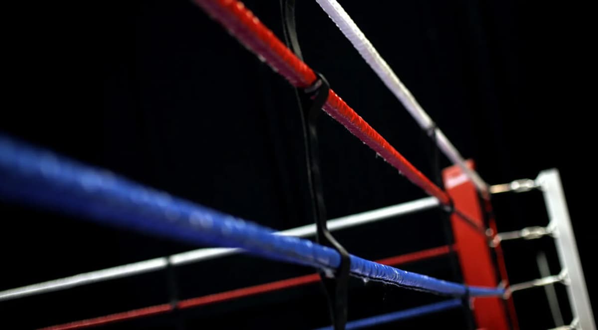 World Boxing federatsiyasi XOQ tomonidan vaqtincha tan olindi