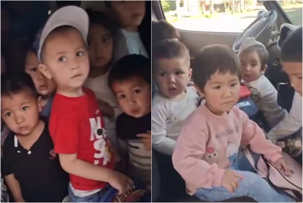 Фото: кадр из видео