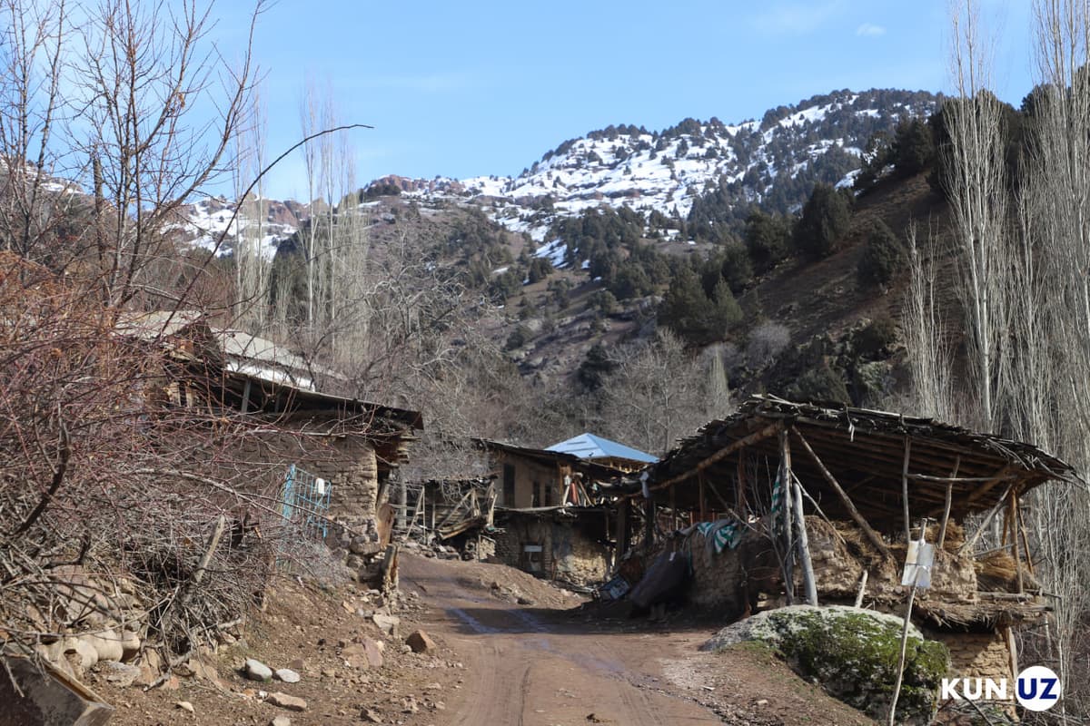 3 xil tovlanuvchi archazor, go‘zal sharshara: Lashkarakdan fotoreportaj