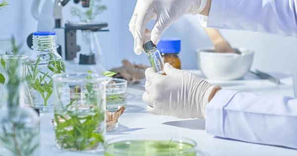 Milliy biofarmatsevtika ilmiy-tadqiqot instituti tashkil etiladi