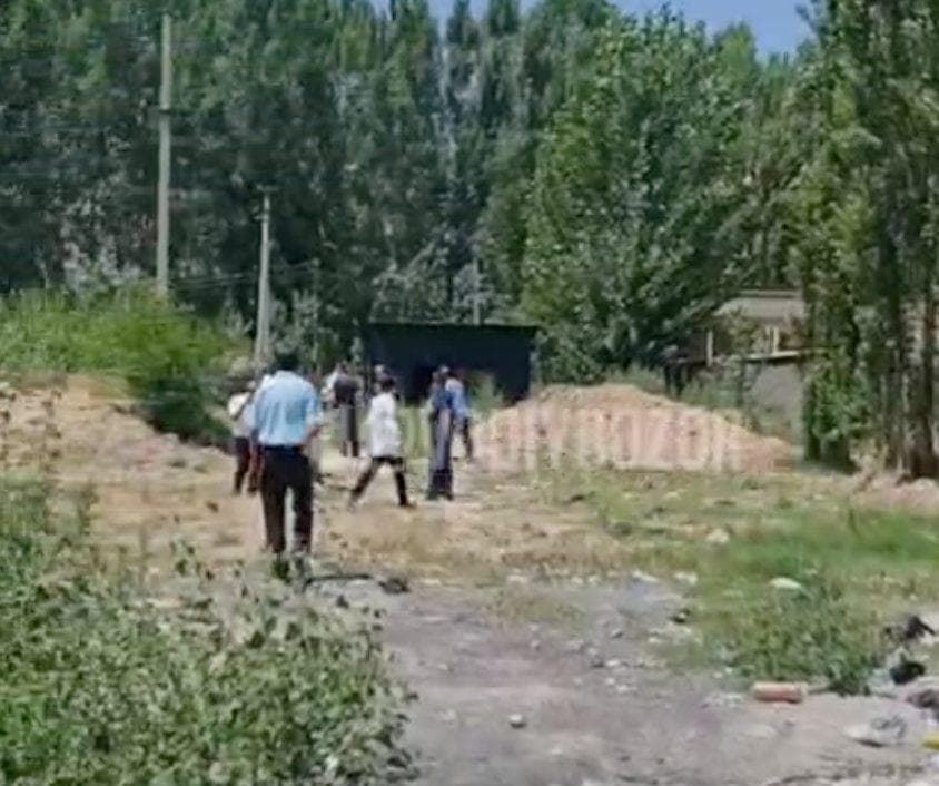 Фото: кадры из видео