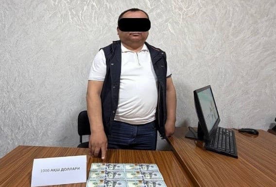 Задержаны за коррупцию замначальника налоговой инспекции и бывший замхокима