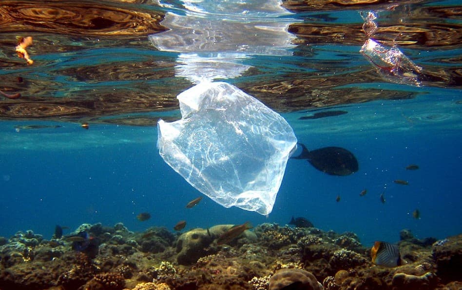 Plastik chiqindilar dunyoning eng chuqur joyigacha ham yetib bordi
