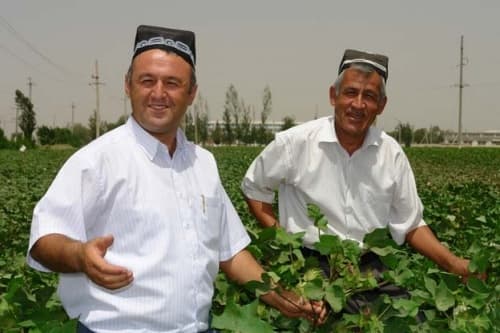 Fermer, dehqon xo‘jaliklari va tomorqa yer egalarining a'zolik badali belgilandi