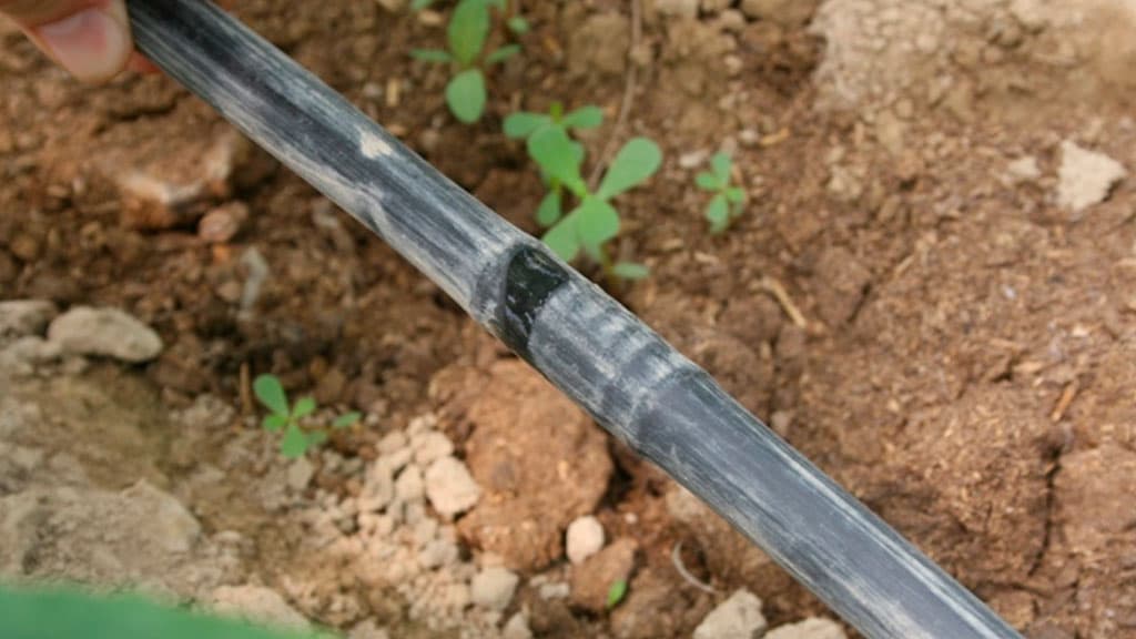 Suvni tejaydigan zamonaviy texnologiyalarni va agrotexnika tadbirlarini joriy qilishdagi kamchiliklar sanaldi - Prezident qarori