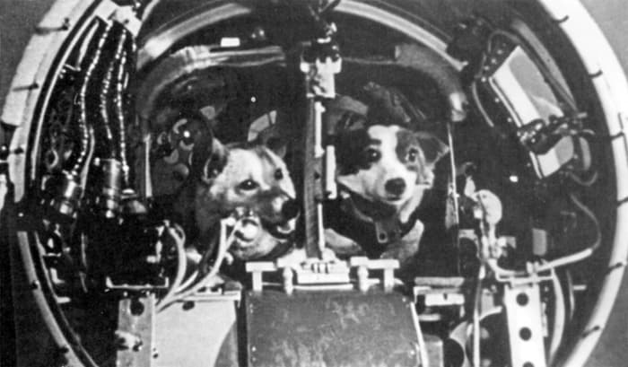 Belka va Strelka: fazodagi ilk yo‘lovchilar