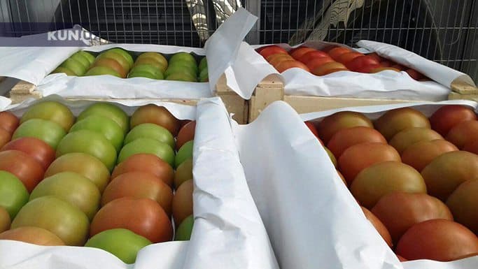 Yana «O‘zagroeksport» haqida: «Beli og‘rimaganning narx belgilashini ko‘r!»