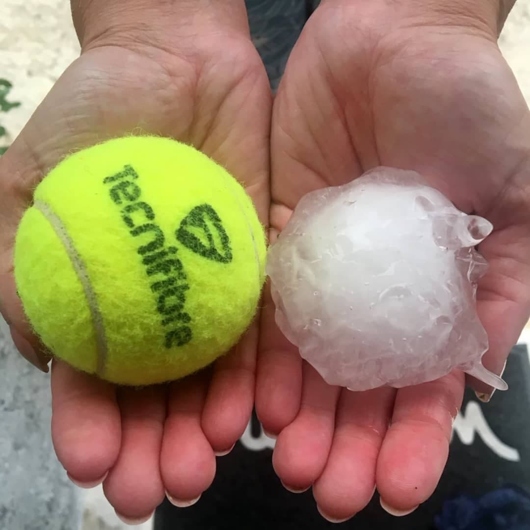 Fransiyada tennis to‘pidek keladigan do‘l yog‘di