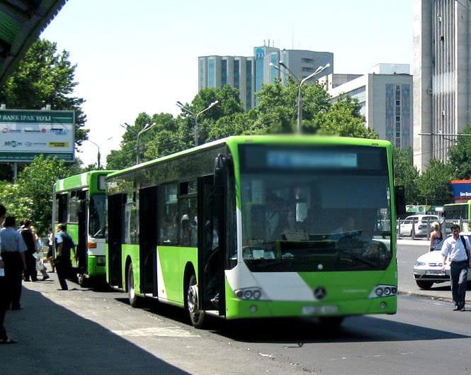 Bizning transportlarimiz hech qaysi davlatnikidan arzon emas -  Fiskal organ