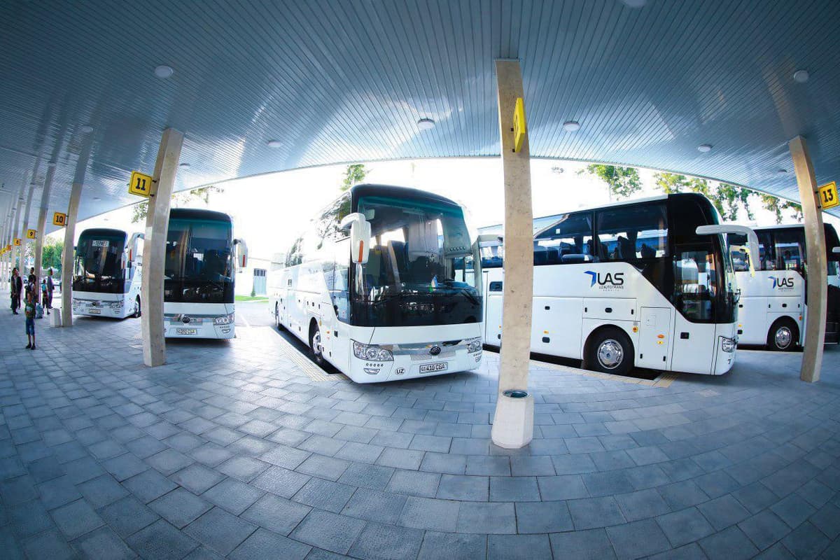 Тошкент - Омск йўналишида мунтазам автобус қатнови йўлга қўйилади