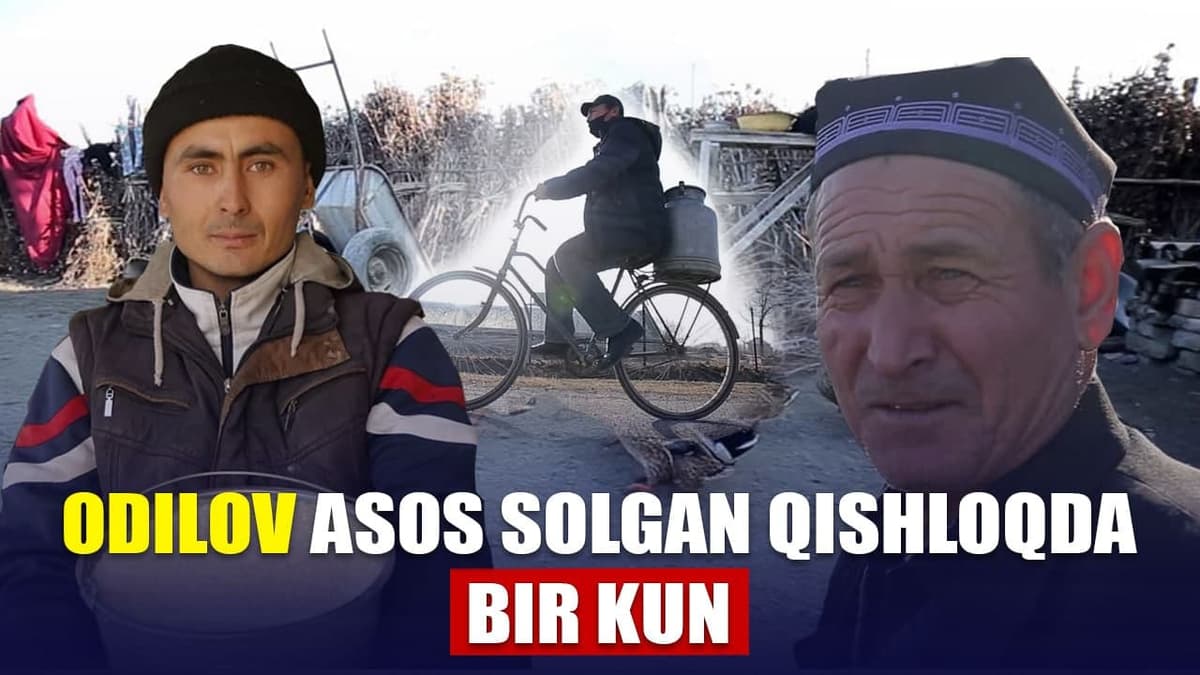 «Asosiy tirikchiligimiz – sholichilik» - Ahmadjon Odilov qurdirgan qishloqda bir kun